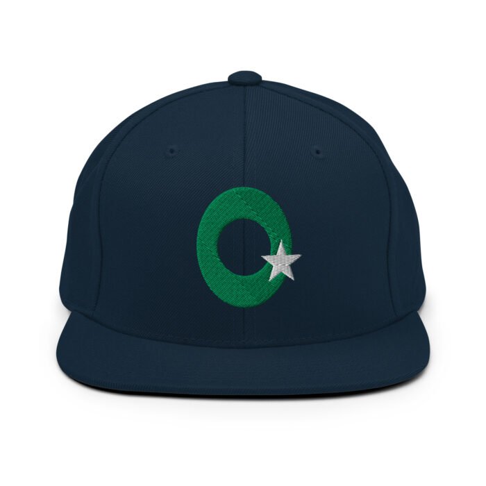 Snapback Hat